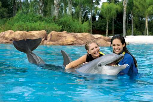 Invite family and friends to come visit and swim with dolphins!
