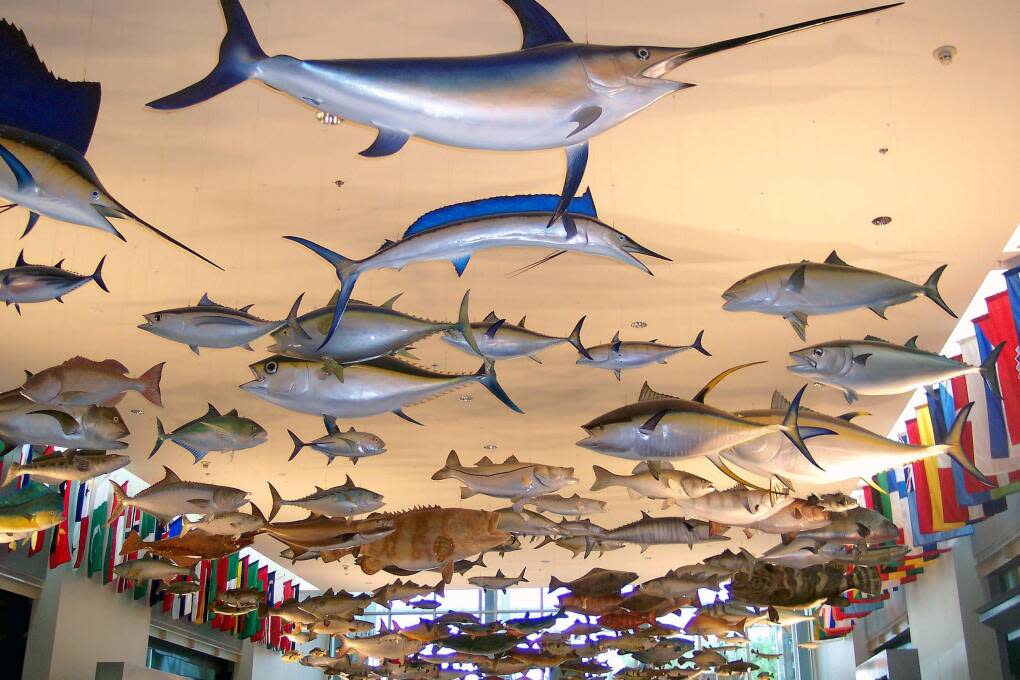 The International Game Fish Association Fishing Hall of Fame in Dania Beach