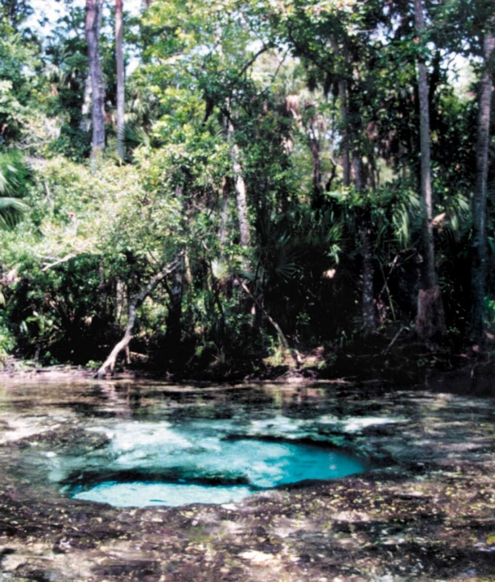 View of the Chassahowitzka River, near where Elvis was filming, an area whose natural beauty delighted Elvis