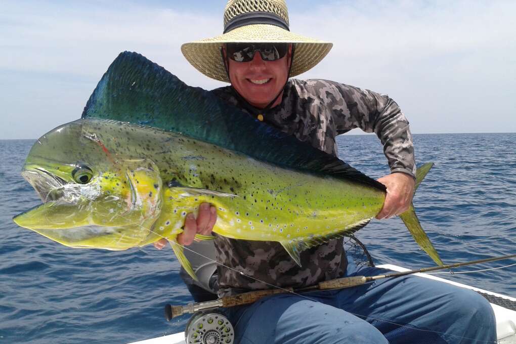 Mahi mahi, called “dolphin” locally, are caught year-round off Martin County. Anglers troll, fish with live bait and even fly fish for what many anglers consider “the perfect fish.”  