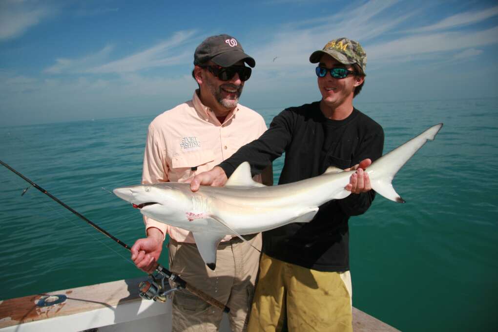 Shark fishing in Florida