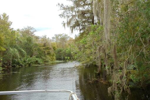 To reach Trapper Nelson's cabin, visitors must take a boat down the Loxahatchee into the Everglades.