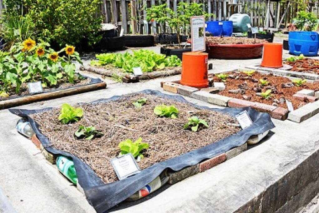 The ECHO Global Farm’s Urban Garden uses recycled materials such as plastic soda bottles and bricks to create above-ground growing beds.