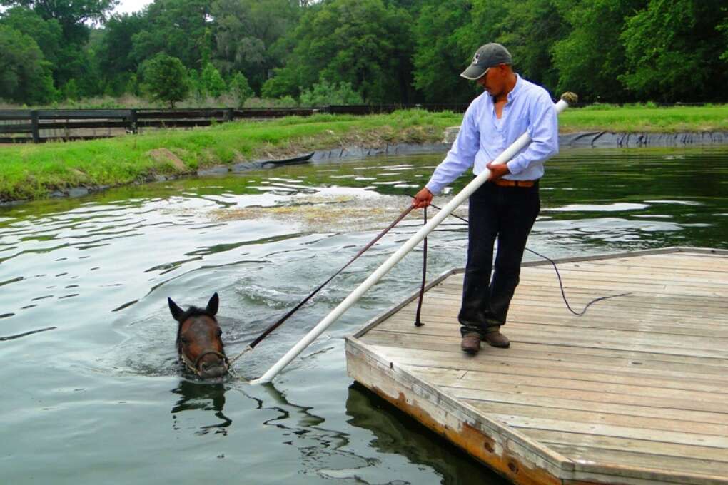 Ocala_farm_tours_credit_lauren_tjaden (10)