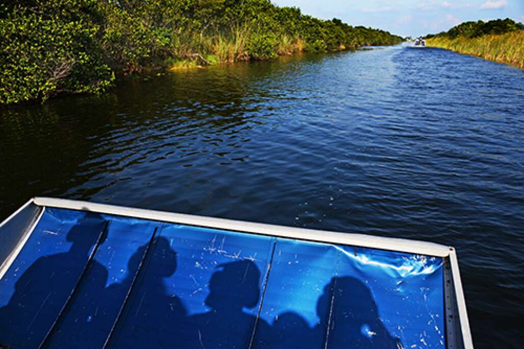 Boat Tours Through the Everglades