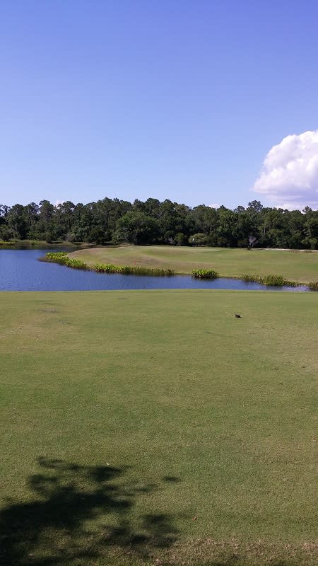 The golf course at the Ritz Carlton Members Club