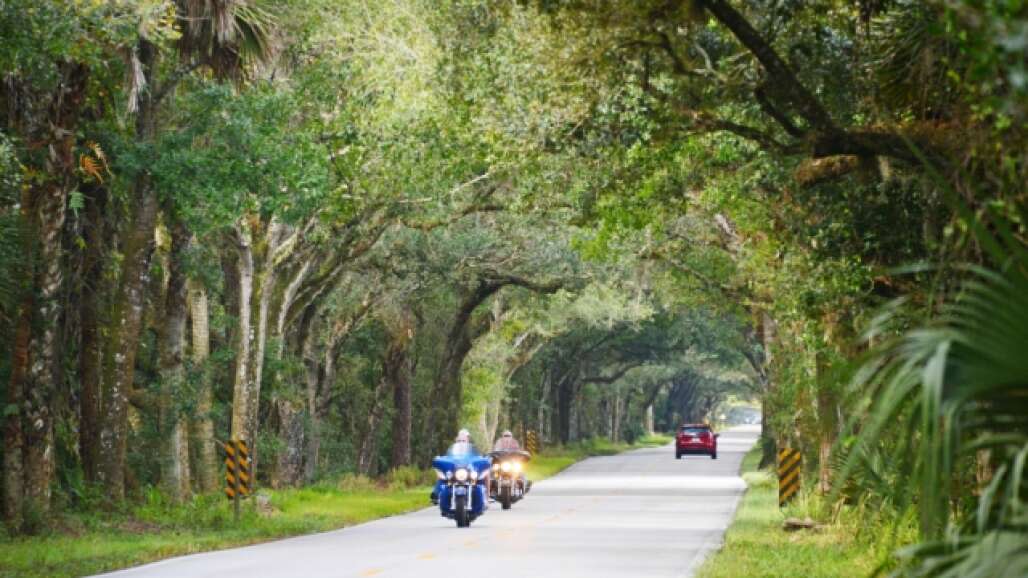 A beautiful boulevard in the Martin County