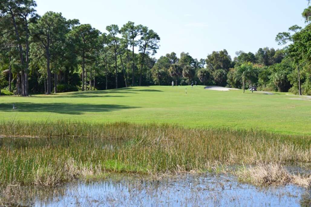 A patch of the Martin County Golf Course