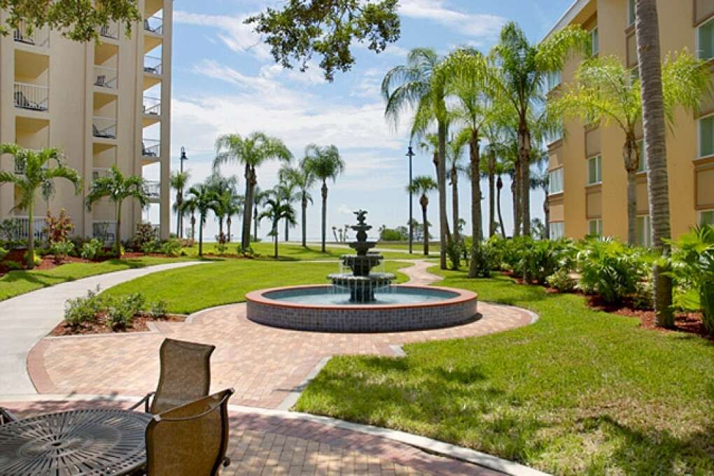 SelfRenewal in Safety Harbor