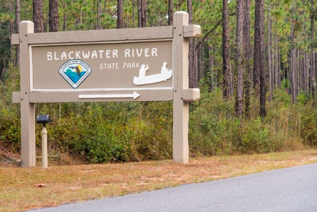 Exploring Florida's Blackwater River State Park