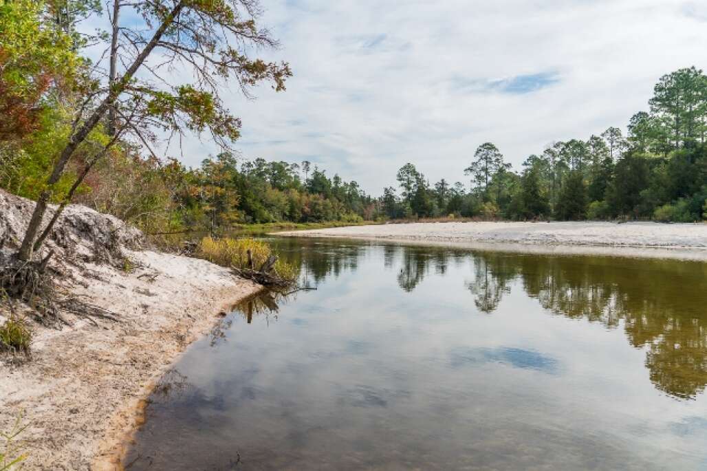 Exploring Florida's Blackwater River State Park
