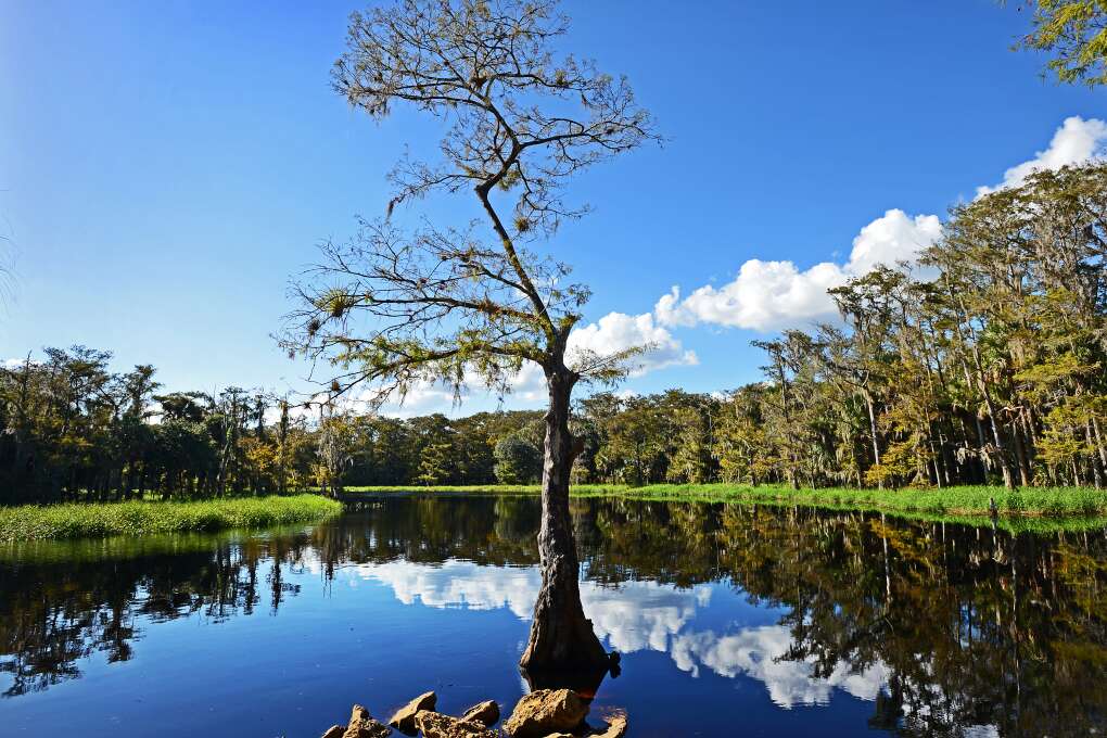Fisheating Creek