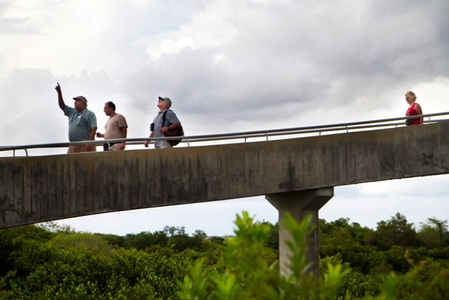 Tourists walking on the bridge of the Shark Valley Visitor Center