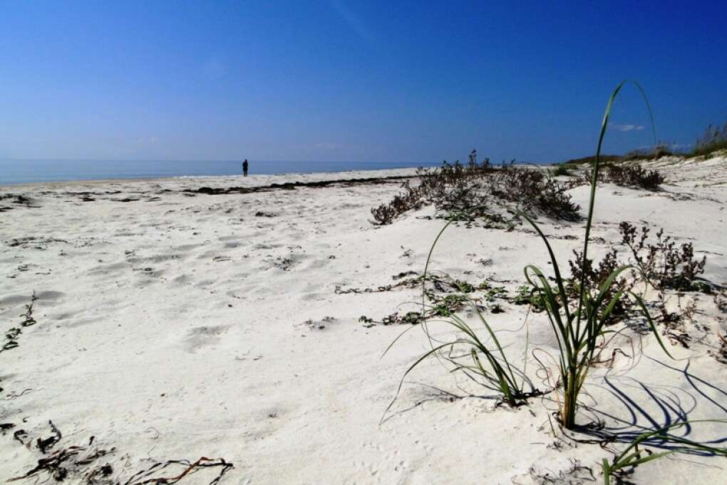 Discover the answers to your need-to-know-questions about Florida beaches.