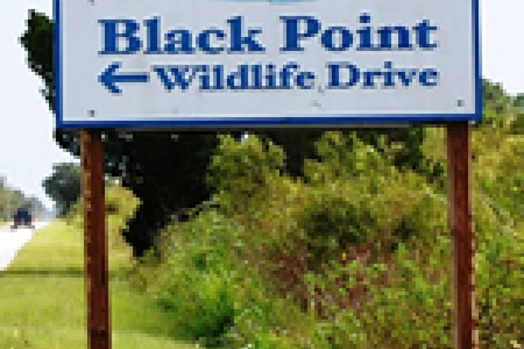  merritt island national wildlife refuge