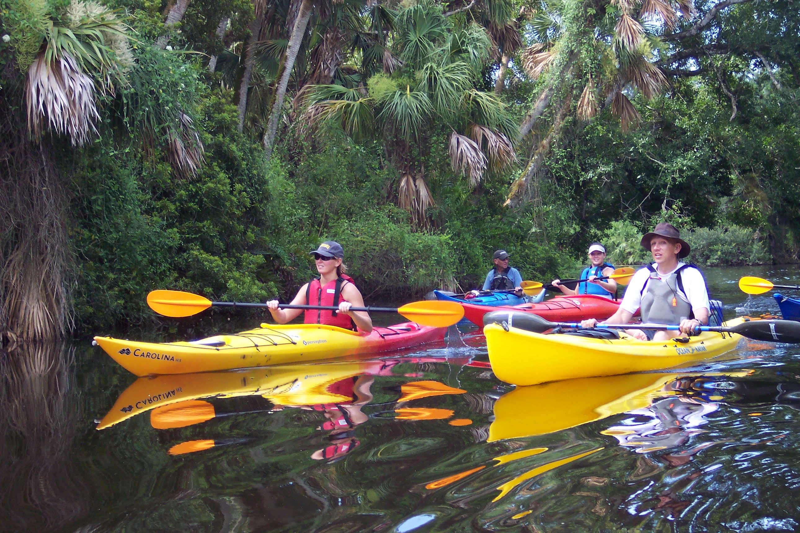 Kayak your way down the Indian River Lagoon, one of the most biologically diverse estuaries in North America.