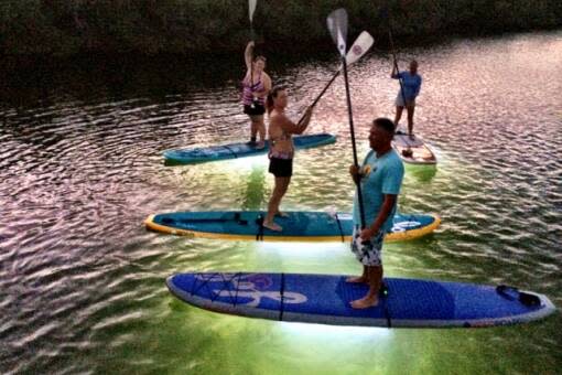 stand up paddling  at don pedro island state park