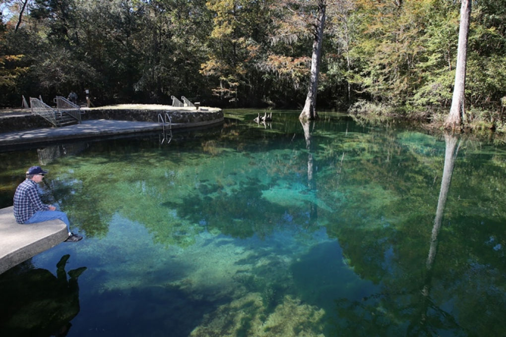 Dive into Florida's Natural Oasis: Ponce de Leon Springs State Park