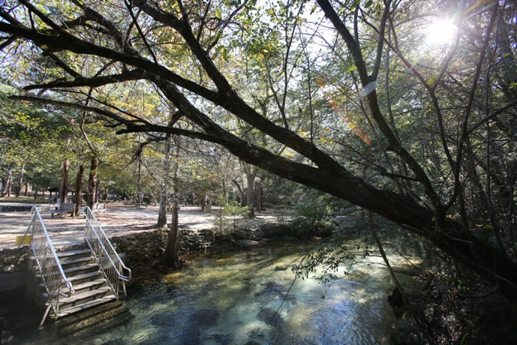 The water temperature remains a constant 68 degrees Fahrenheit year-round at Ponce de Leon Springs.