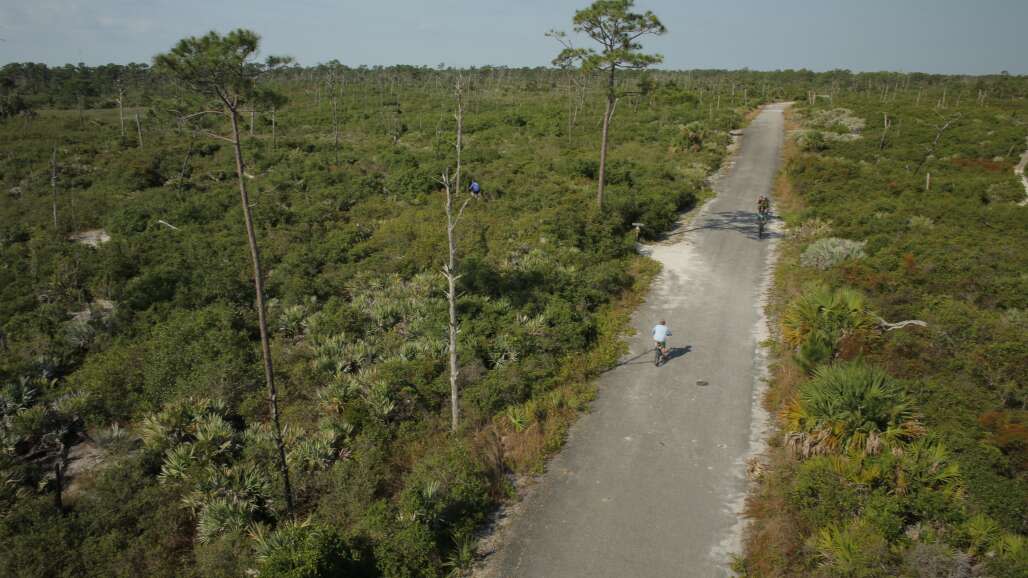 people riding bike in the woods at Jonathan Dickinson State Park