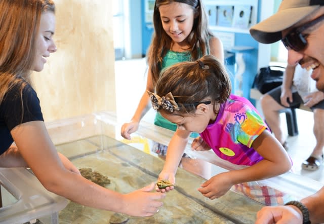 Kids having fun around the touch-tank at Indian River Lagoon