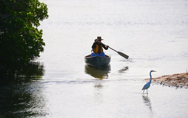 A man in a paddle boat at Indian River Lagoon
