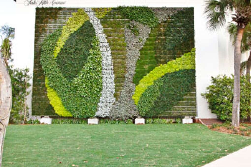 Vertical Garden Plant Wall in Palm Beach