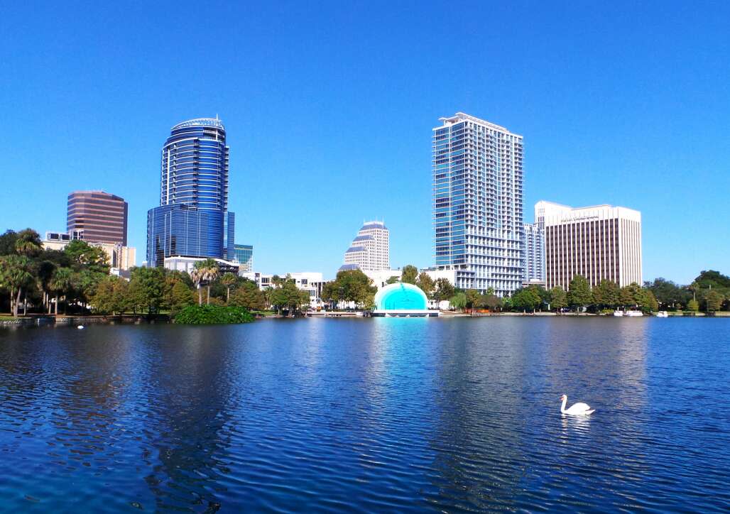 In the middle of downtown Orlando, Lake Eola is home to dozens of white and black swans.