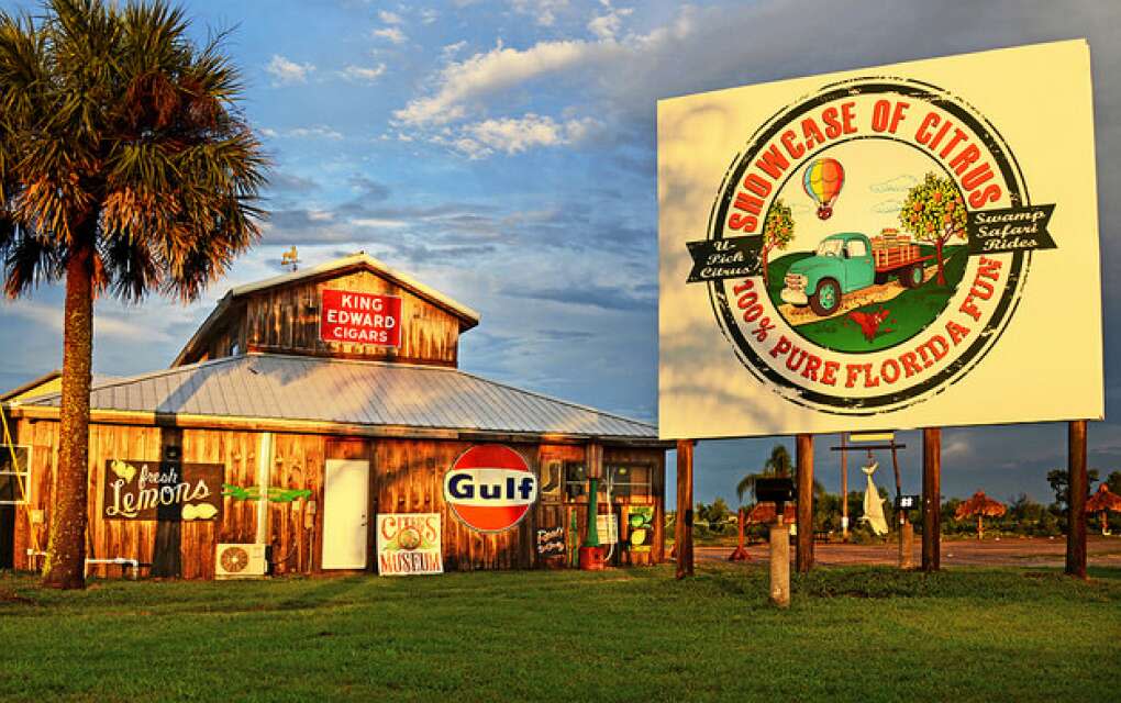 Showcase of Citrus in Clermont is a real old-school Florida roadside attraction.