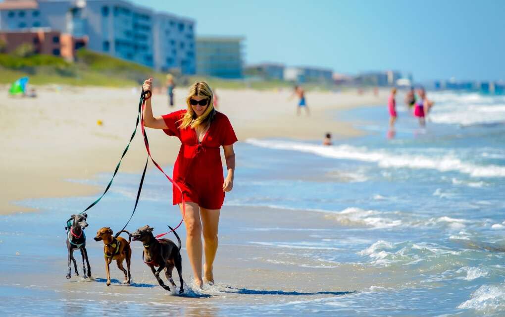 Spend time on the shore with your furry friends at dog-friendly Canova Beach Park in Indialantic.