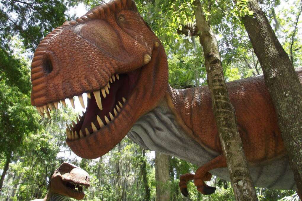 Experience Dinosaur World with loved ones