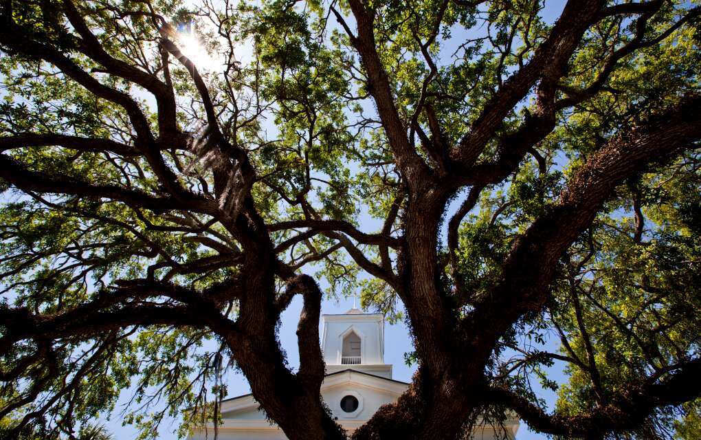 Beneath spreading Live Oak branches, Trinity Episcopal Church has served Apalachicola since 1838. 