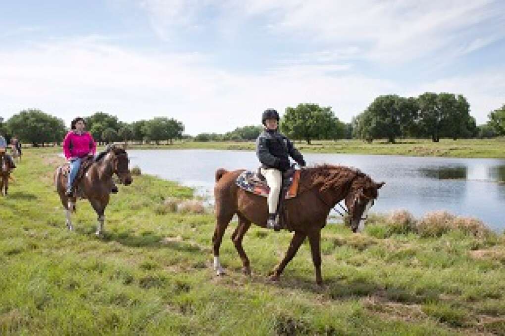 Horseback Excursion at Westgate River Ranch