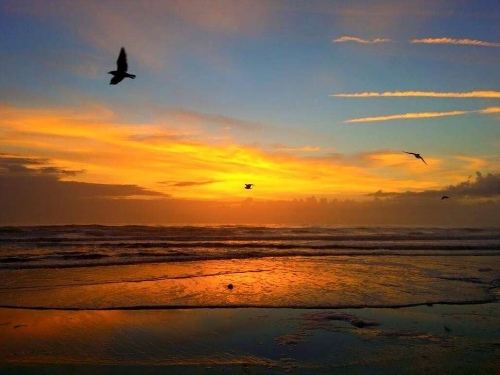 ponte-vedra-sun.jpg