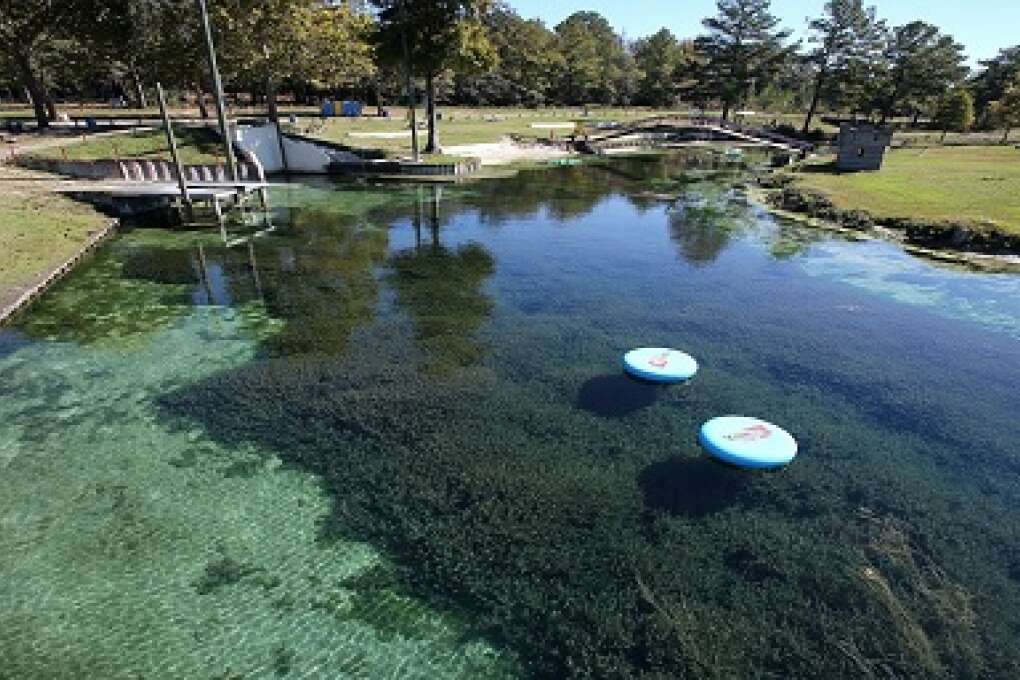 Vortex Spring Swimming & Scuba Diving in Ponce de Leon Florida