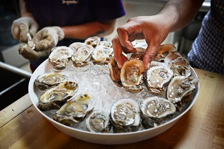 A person grabbing oysters from a bowl of ice at Okeechobee Restaurant