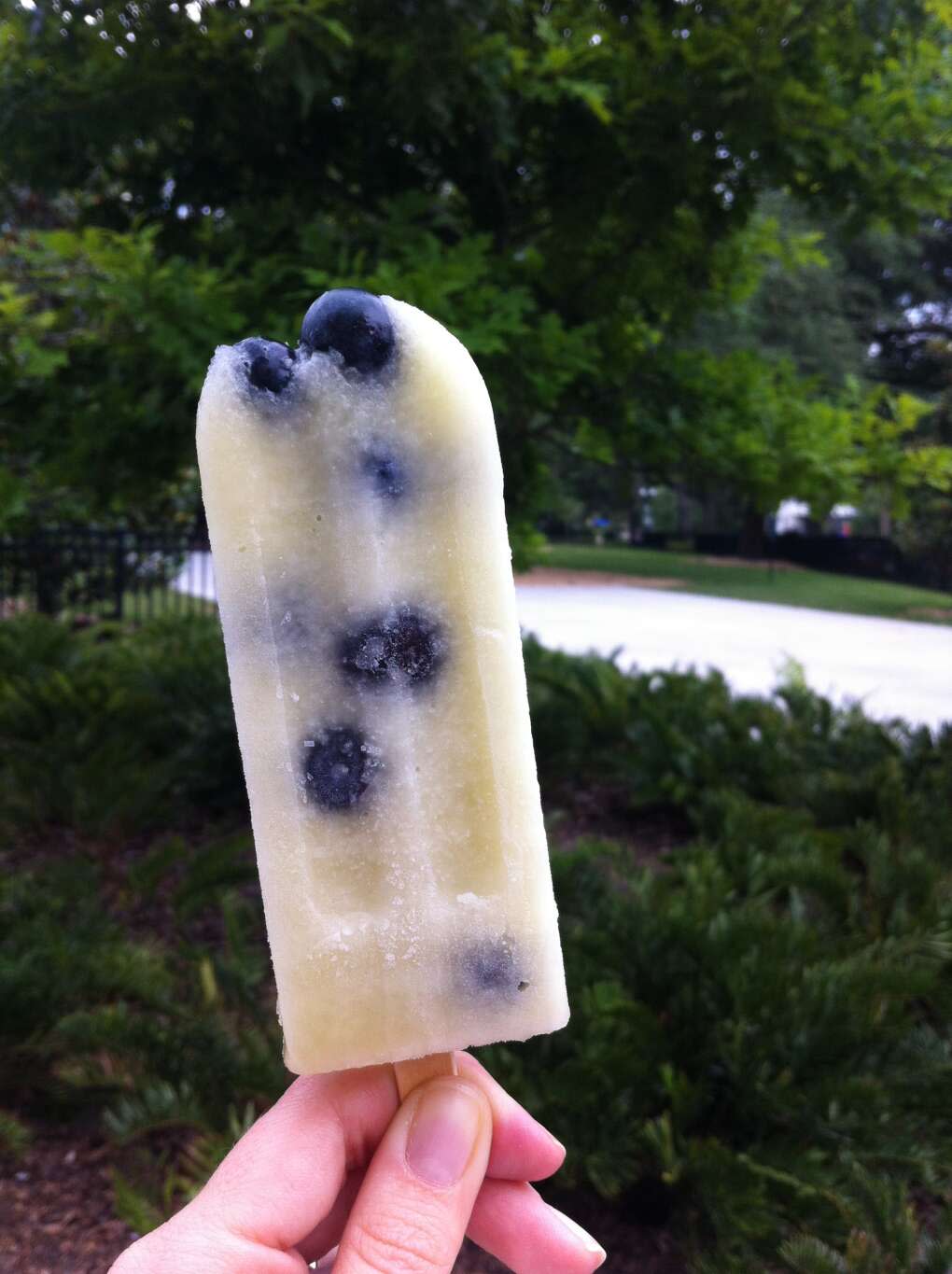 Florida desserts: popsicle from The Hyppo