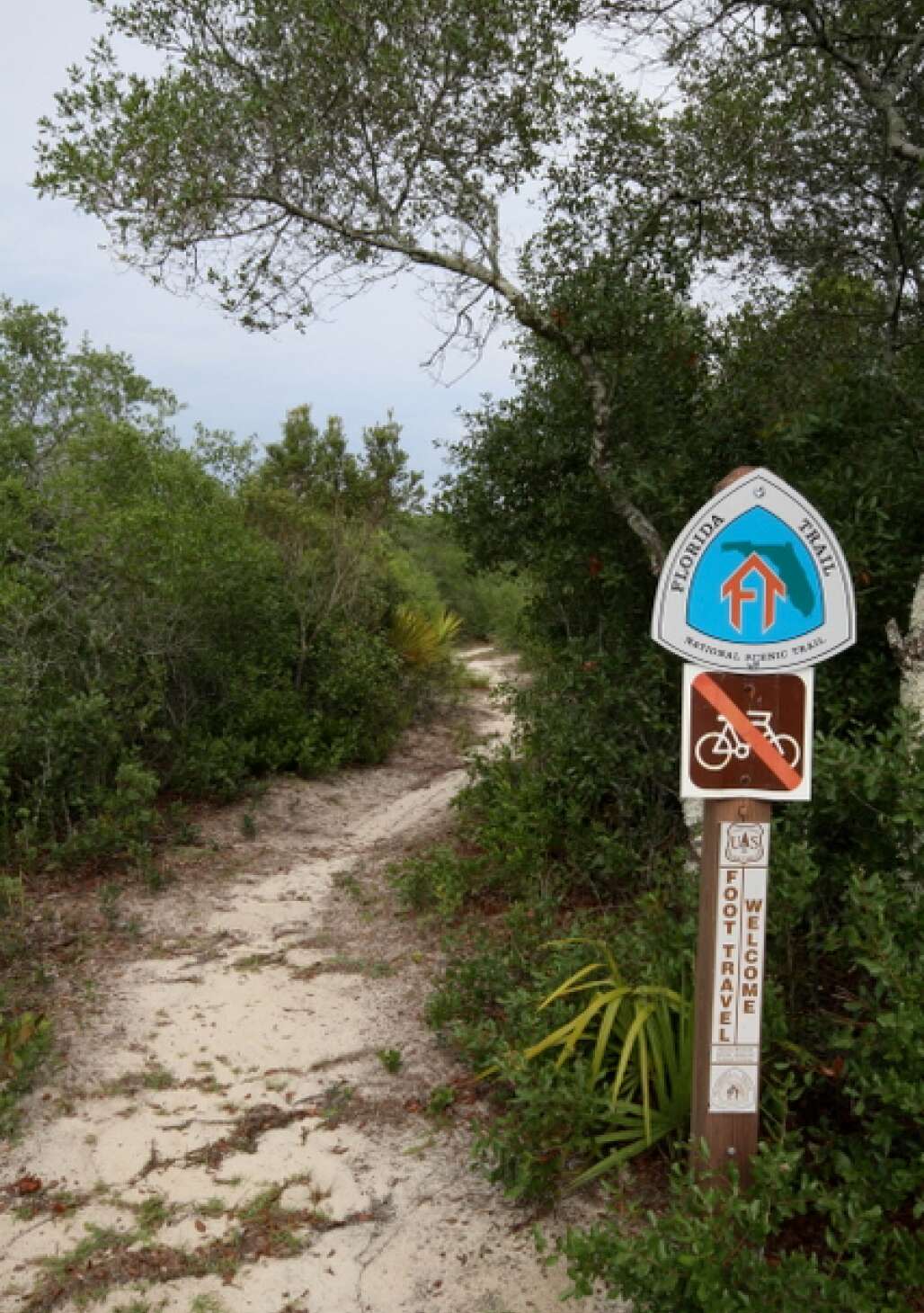hiking trails in florida