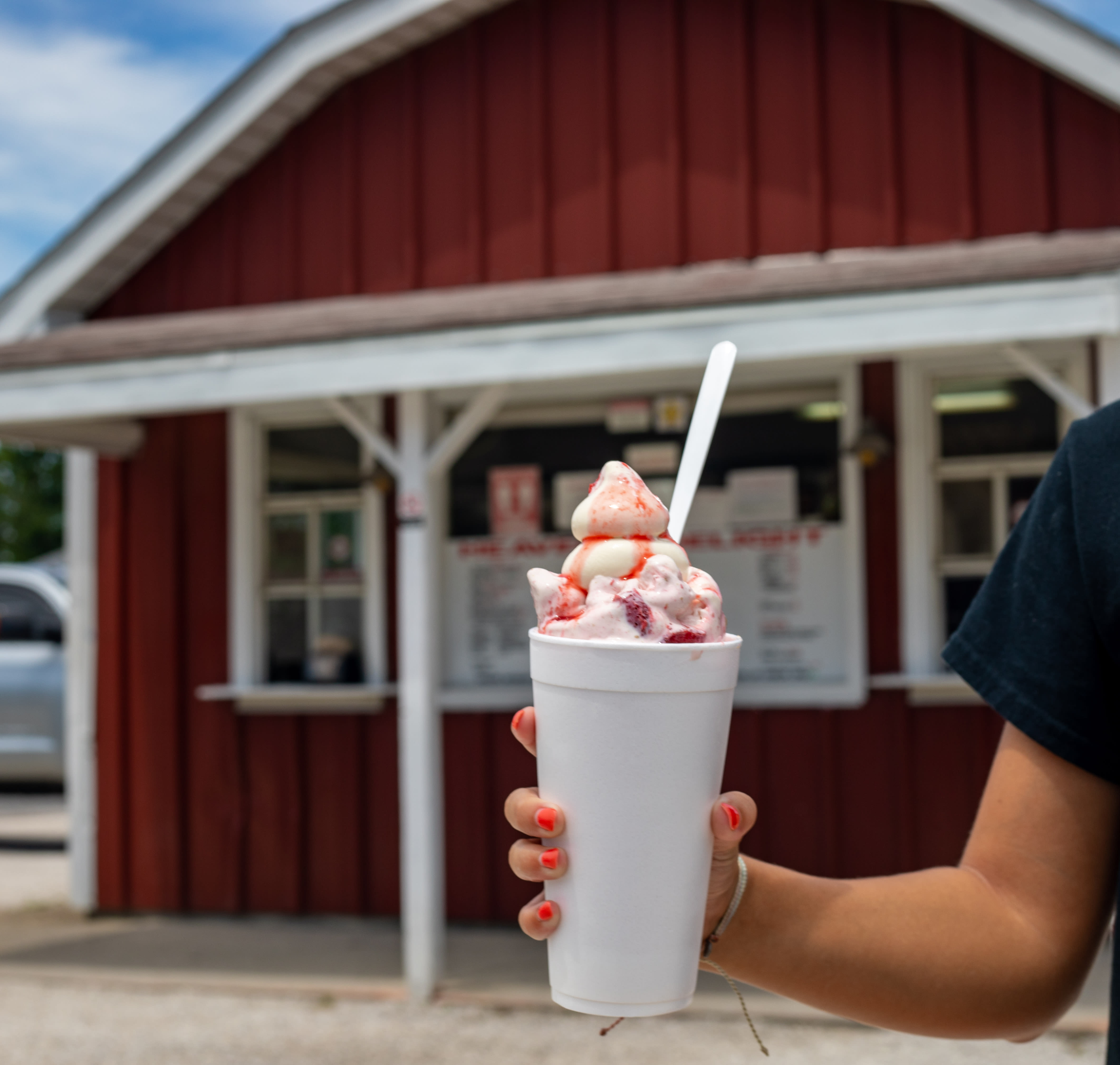 Top Ice Cream Spots in Illinois - Jacksonville