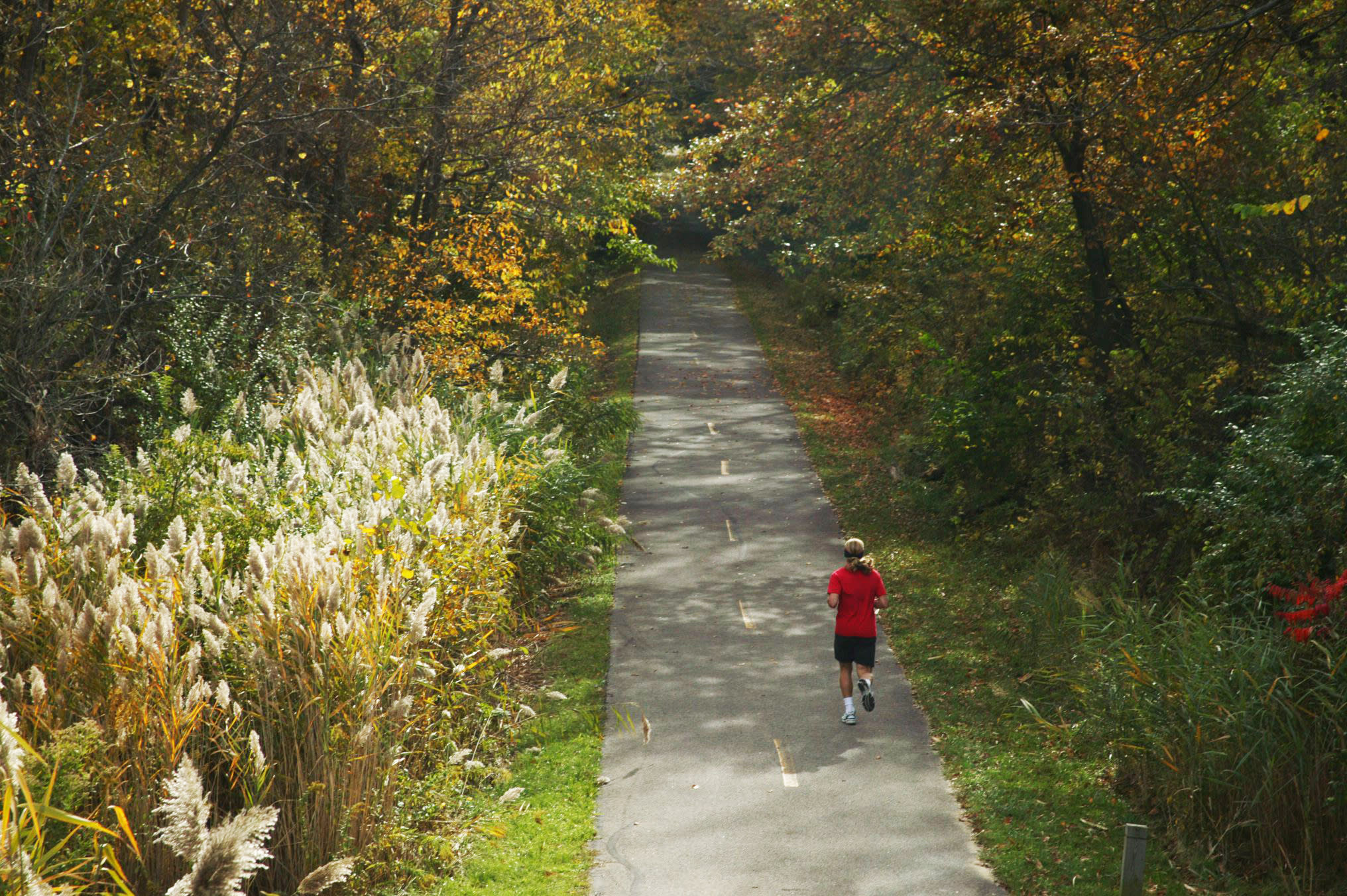 Geocaching in Springfield, IL