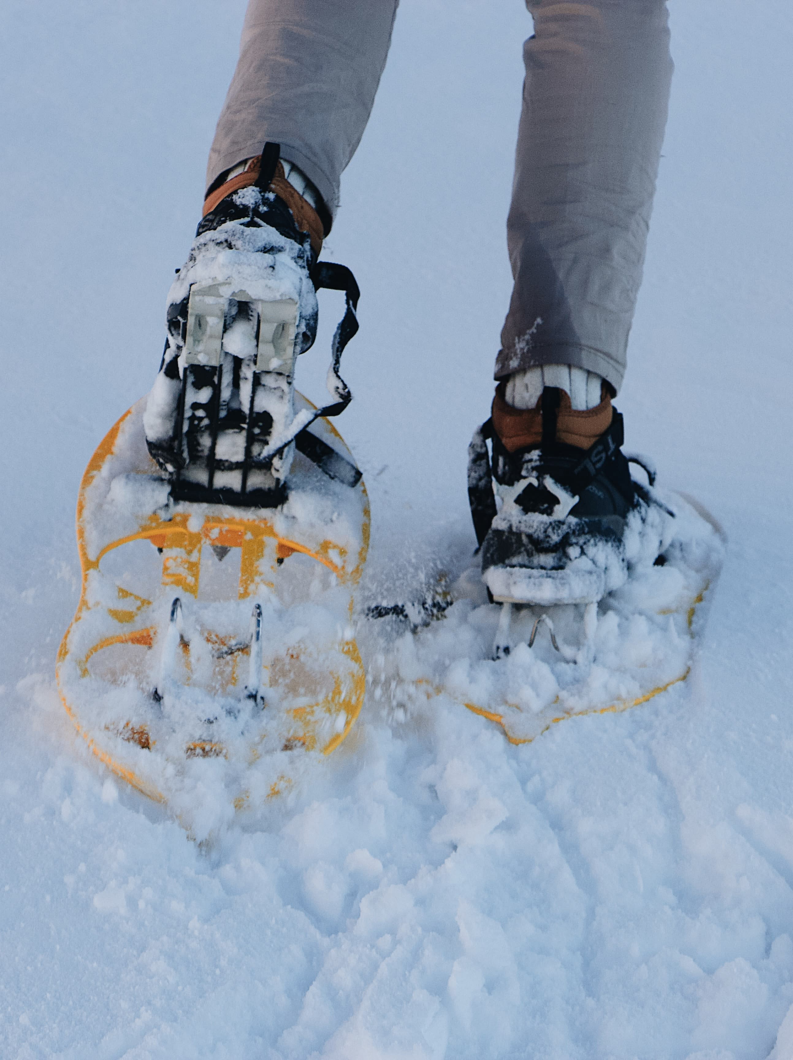 Snowshoeing in Chicagoland