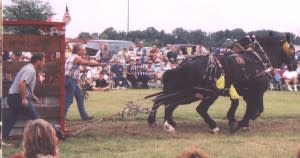 horsepull