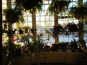 Porter's conservatory is maintained by volunteers. 