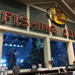 The Bass Pro Shop's aquariums are fun to look at.