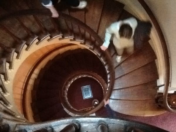 Lanier's spiral stairway is dizzying!
