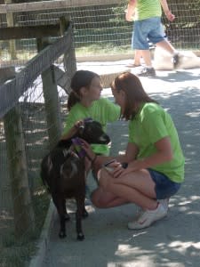 zoo goat girls