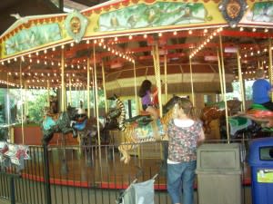 zoo carousel