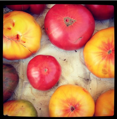 Heirloom tomatoes at Bloomington Community Farmer's Market | Photo by Brittany S.