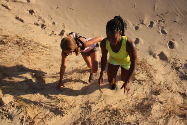 Do you have what it takes to climb the three highest sand dunes at Indiana Dunes State Park? Take The 3 Dune Challenge.