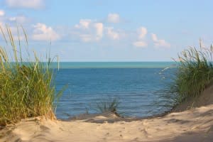 The Indiana Dunes are a short drive away, yet feel like a world away.